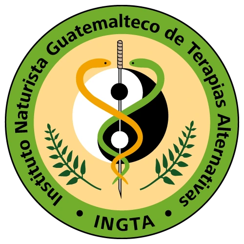 Logo INGTA